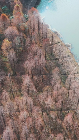 雪浪湖度假区自然绿化上海城市素材航拍67秒视频