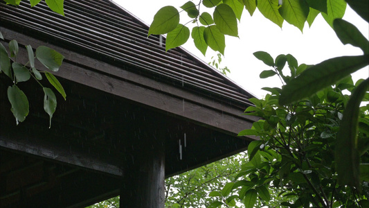 重庆雨季下雨屋檐实拍视频