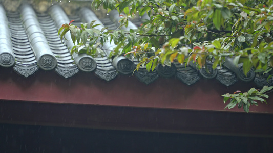 重庆雨季下雨屋檐实拍视频