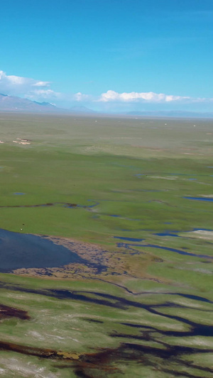 航拍国家级自然保护区巴音布鲁克草原湿地视频新疆旅游76秒视频
