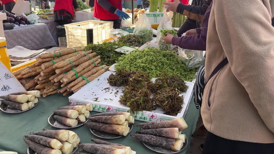 赶大集卖槐花茉莉花榆树花视频