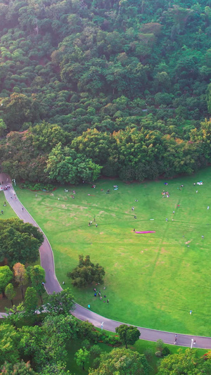 5点航拍深圳莲花山公园风筝区游客市民放风筝44秒视频