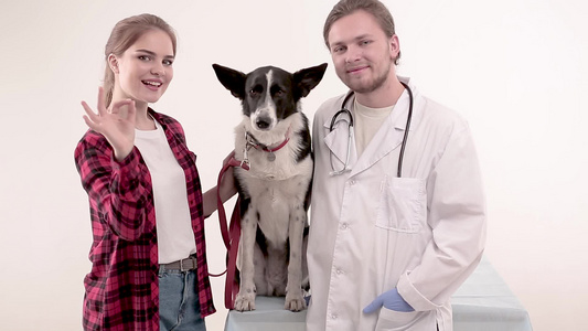 检查完后在兽医那儿看可爱的狗视频