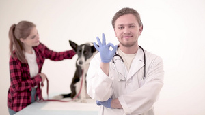 检查完后在兽医那儿看可爱的狗9秒视频