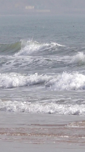 自然风光大海中的波浪视频合集20秒视频
