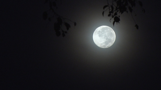 实拍夜晚月亮视频