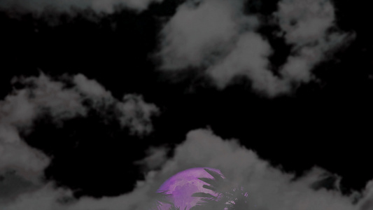 满月的紫色寒月向后升起椰子树夜空中有乌云视频