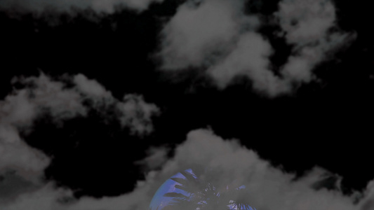 满月的全蓝月向后升起椰子树夜空中有乌云视频