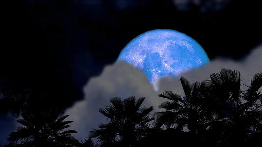 夜空时满蓝月云彩模糊流过青春和古棕榈树视频