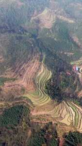 航拍湖南湘西大山梯田视频