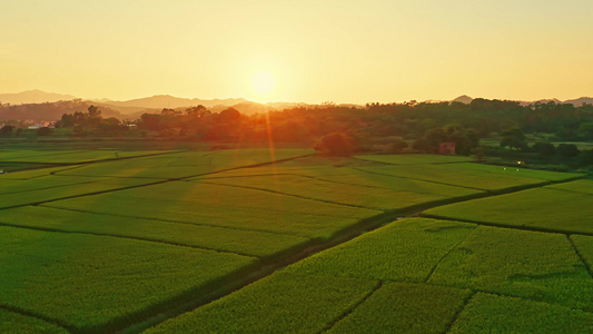 夕阳下的田园风光视频