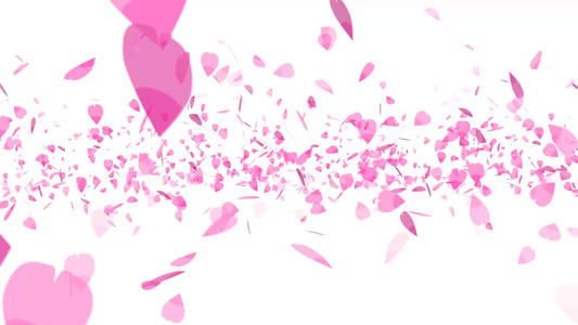 粉红色沙库拉留下重的旋转飞翔的偏僻背景视频