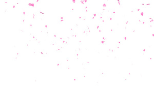 粉红清沙库拉树叶与世隔绝的背景15秒视频