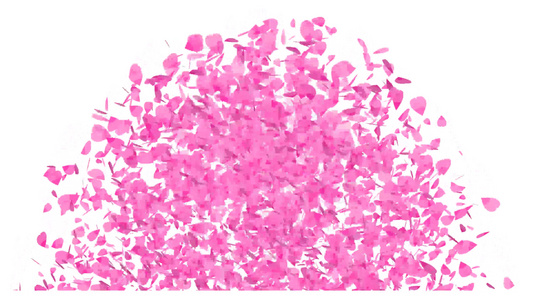 粉红沙库拉叶子树叶落到地板上光玫瑰色视频