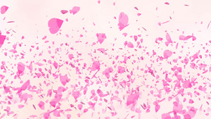上百万粉红沙库拉叶子漂浮在空中飞翔在空气光中升起背景16秒视频