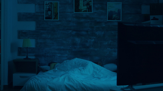 一对夫妇睡在毯子下面的卧室里月光照亮了房间视频