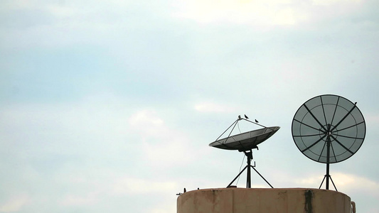 鸟儿站在两颗卫星天线晨空背景上唱歌视频
