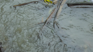 季风雨水在地面上流动17秒视频