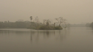 拉宾德拉萨罗巴湖在冬季雾的清晨13秒视频