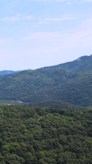 4A风景区大连西郊森林公园航拍合集森林氧吧89秒视频