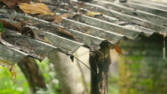 雨从屋顶落下热带夏季季风雨滴从花园中小溪流中的铁皮视频