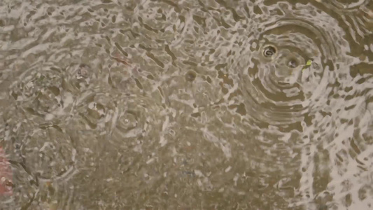 季风雨落在地上轻大雨滴落在水面视频画面上雨天季风季节视频