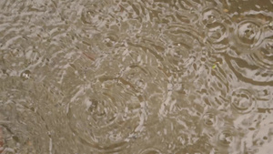 季风雨落在地上轻大雨滴落在水面视频画面上雨天季风季节9秒视频