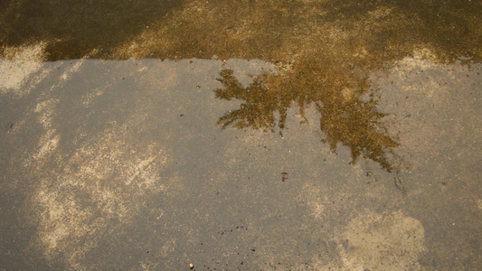 下落的雨水滴在水面上雨季时雨落在地上雨滴在水泥屋顶视频