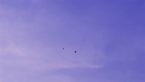 风筝在天上飞在加尔各答11秒视频