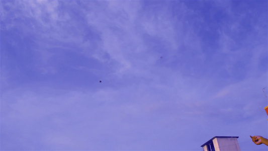 风筝在天上飞蓝天白云放风筝视频在加尔各答的Vishwakarma视频