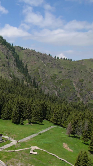 航拍5A景点新疆天山天池景区景点福寿观视频大自然53秒视频