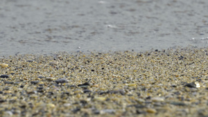 石头波浪和海20秒视频