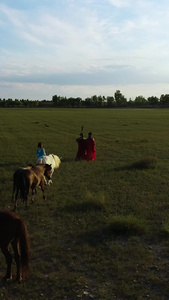 内蒙古牧民牵马航拍蒙古族视频