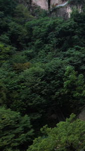 5A洛阳白云山九龙大峡谷景观区白龙瀑布航拍视频风景名胜区视频