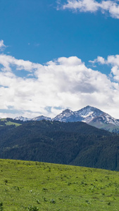 5A喀拉峻大草原与天山山脉雪山延时视频旅游目的地视频