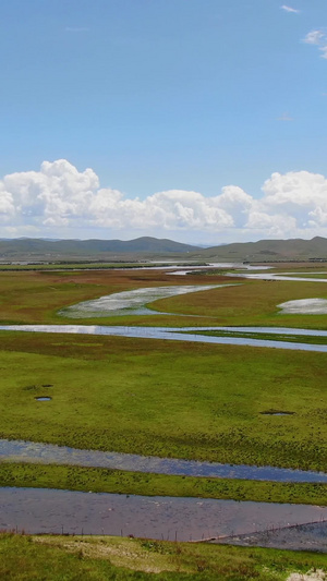唐克红原大草原湿地牧场航拍视频自然风光41秒视频
