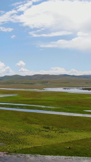 唐克红原大草原湿地牧场航拍视频大自然41秒视频