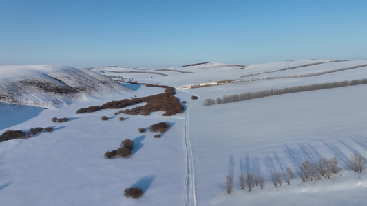 内蒙古冬季雪原风景视频