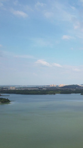 航拍蓝天白云天空湖北5A级地标旅游景区东湖风景素材东湖素材视频