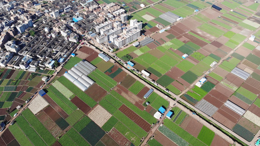 色彩分明的农田镶嵌在大地视频