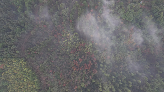 大自然群山清晨云雾航拍视频