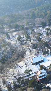 航拍俯瞰历史遗迹盛京东陵公园雪景视频