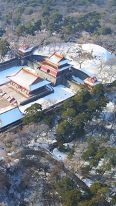 航拍俯瞰历史遗迹盛京东陵公园雪景视频