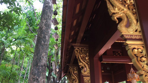 公共泰国寺庙传统木屋顶17秒视频