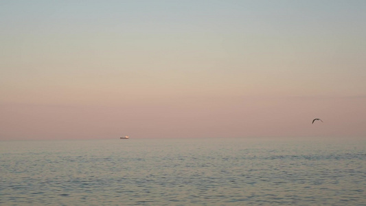 海鸥在海面上空飞行货船在日落时以慢动作停泊在地平线视频