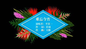 晚会节目歌曲字幕条会声会影字幕模板20秒视频