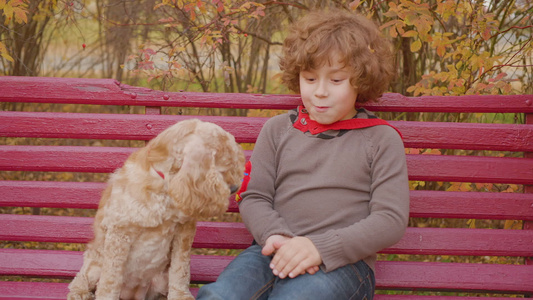 的快乐的孩子坐在长椅上和狗在公园里视频