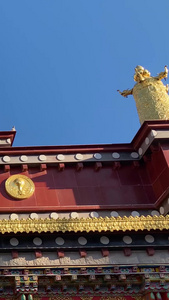 迪庆藏族自治州香格里拉5A景区松赞林寺内部实拍视频合集藏传佛教视频