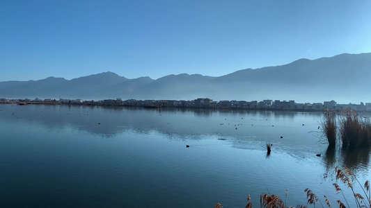 云南鹤庆晨雾中的草海湿地4K高清视频视频