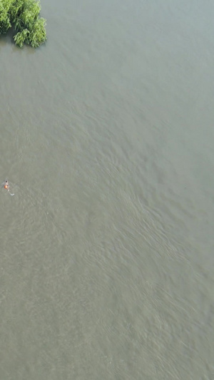 航拍长江中下游汛期防汛最大洪峰过境后被水淹没的亭子防汛素材超警戒水位52秒视频